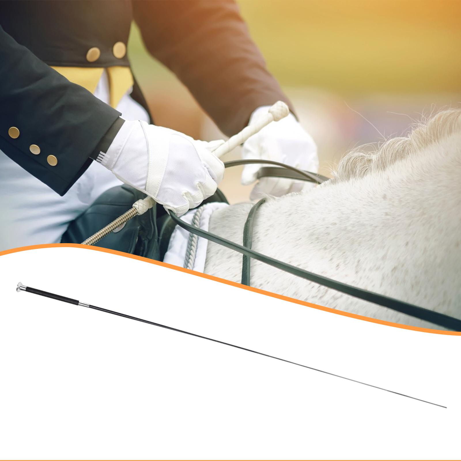 Binicilik için Teleskopik Eğit - Riding Crop Dressage incelemesi ve fiyatı